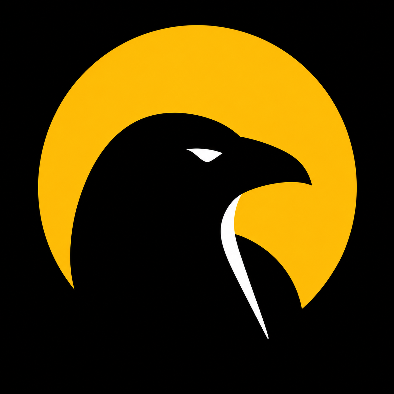 Outsight Labs